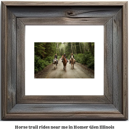 horse trail rides near me in Homer Glen, Illinois